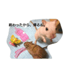スナネズミ飼い専用（個別スタンプ：35）