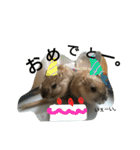 スナネズミ飼い専用（個別スタンプ：39）