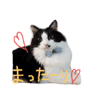 我が家のボス 3（個別スタンプ：9）
