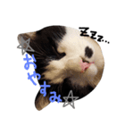 我が家のボス 3（個別スタンプ：10）