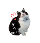 我が家のボス 3（個別スタンプ：13）