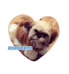 シーズン犬スタンプ（個別スタンプ：3）