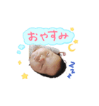 shuren（個別スタンプ：5）