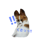 イルりゅあ（個別スタンプ：12）