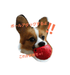 イルりゅあ（個別スタンプ：20）