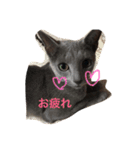 ハルとめいな（個別スタンプ：3）