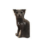 ハルとめいな（個別スタンプ：7）