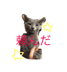ハルとめいな（個別スタンプ：12）