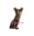 ハルとめいな（個別スタンプ：14）