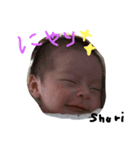 shuri_1（個別スタンプ：1）