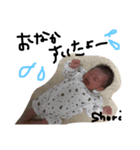 shuri_1（個別スタンプ：2）