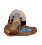 わんこはっちゃん（個別スタンプ：11）