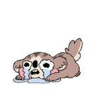 Chipmunk Jelly（個別スタンプ：11）