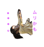 はづしょうき（個別スタンプ：10）