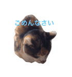 ミーとデイジー（個別スタンプ：2）