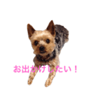 ミーとデイジー（個別スタンプ：9）