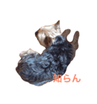 ミーとデイジー（個別スタンプ：10）