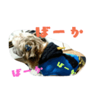 たろさんとひろさんです（個別スタンプ：3）