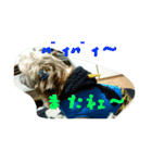 たろさんとひろさんです（個別スタンプ：5）