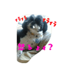 たろさんとひろさんです（個別スタンプ：6）