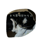 たろさんとひろさんです（個別スタンプ：16）