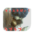 たろさんとひろさんです（個別スタンプ：24）