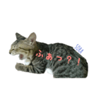 空と彩（個別スタンプ：3）