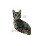 空と彩（個別スタンプ：8）