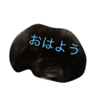 ペキニーズ三兄弟 2（個別スタンプ：2）