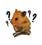 Humphrey Hamster and Lajka Dog（個別スタンプ：3）