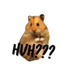 Humphrey Hamster and Lajka Dog（個別スタンプ：4）