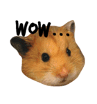 Humphrey Hamster and Lajka Dog（個別スタンプ：8）