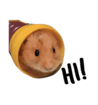 Humphrey Hamster and Lajka Dog（個別スタンプ：9）