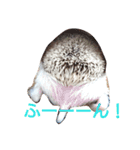ハリネズミのきなことあんこ（個別スタンプ：2）