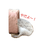 ハリネズミのきなことあんこ（個別スタンプ：7）