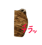 うさぎのぱんくん（個別スタンプ：5）