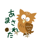 シマフクロウ フクちゃんの北海道弁（個別スタンプ：36）