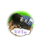 トイプードル のゎぽー（個別スタンプ：8）