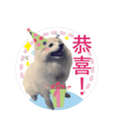 Fat cat lala and dog ball daily（個別スタンプ：26）