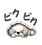 【大きめ文字】シーズー犬の日常 Vol.3（個別スタンプ：8）