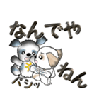 【大きめ文字】シーズー犬の日常 Vol.3（個別スタンプ：15）