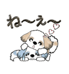 【大きめ文字】シーズー犬の日常 Vol.3（個別スタンプ：31）