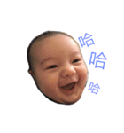 Cornel 0-4m（個別スタンプ：10）