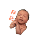 Cornel 0-4m（個別スタンプ：13）