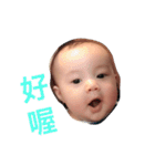 Cornel 0-4m（個別スタンプ：24）