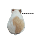 Guinea pig tian tian（個別スタンプ：23）