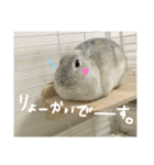 うさぎのふうちゃんりんちゃん（個別スタンプ：5）