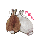 うさぎのふうちゃんりんちゃん（個別スタンプ：11）