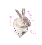 うさぎのふうちゃんりんちゃん（個別スタンプ：20）