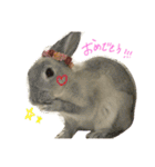 うさぎのふうちゃんりんちゃん（個別スタンプ：21）